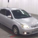 Toyota Allex 2006