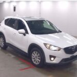 Mazda CX-5 20S 2012