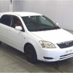 Toyota Corolla RunX X Limited 2004