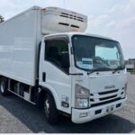 Isuzu Elf Refrigerator 3t 2019