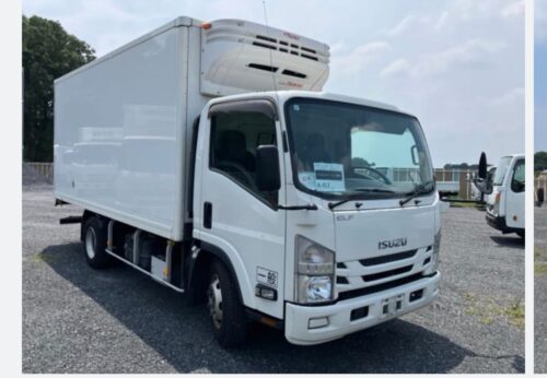 Isuzu Elf Refrigerator 3t 2019