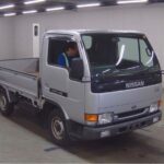Nissan Atlas Truck 2D 4WD 1995