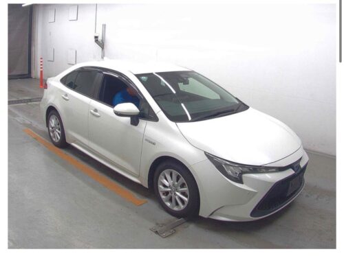 Toyota Corolla Hybrid S 2019
