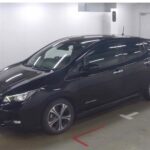Nissan Leaf X 10k Units Memorial 2018