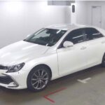 Toyota Mark X 250S Final Edition 2019