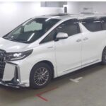Toyota Alphard Hybrid 4WD Executive Lounge S 2018