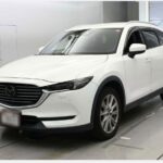 Mazda CX-8 XD Proactive 4WD 2018