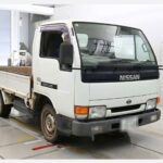 Nissan Atlas Truck 1.25t Diésel 1997