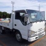 Isuzu Elf Camión Volquete / Volqueta 3t Manual 2008